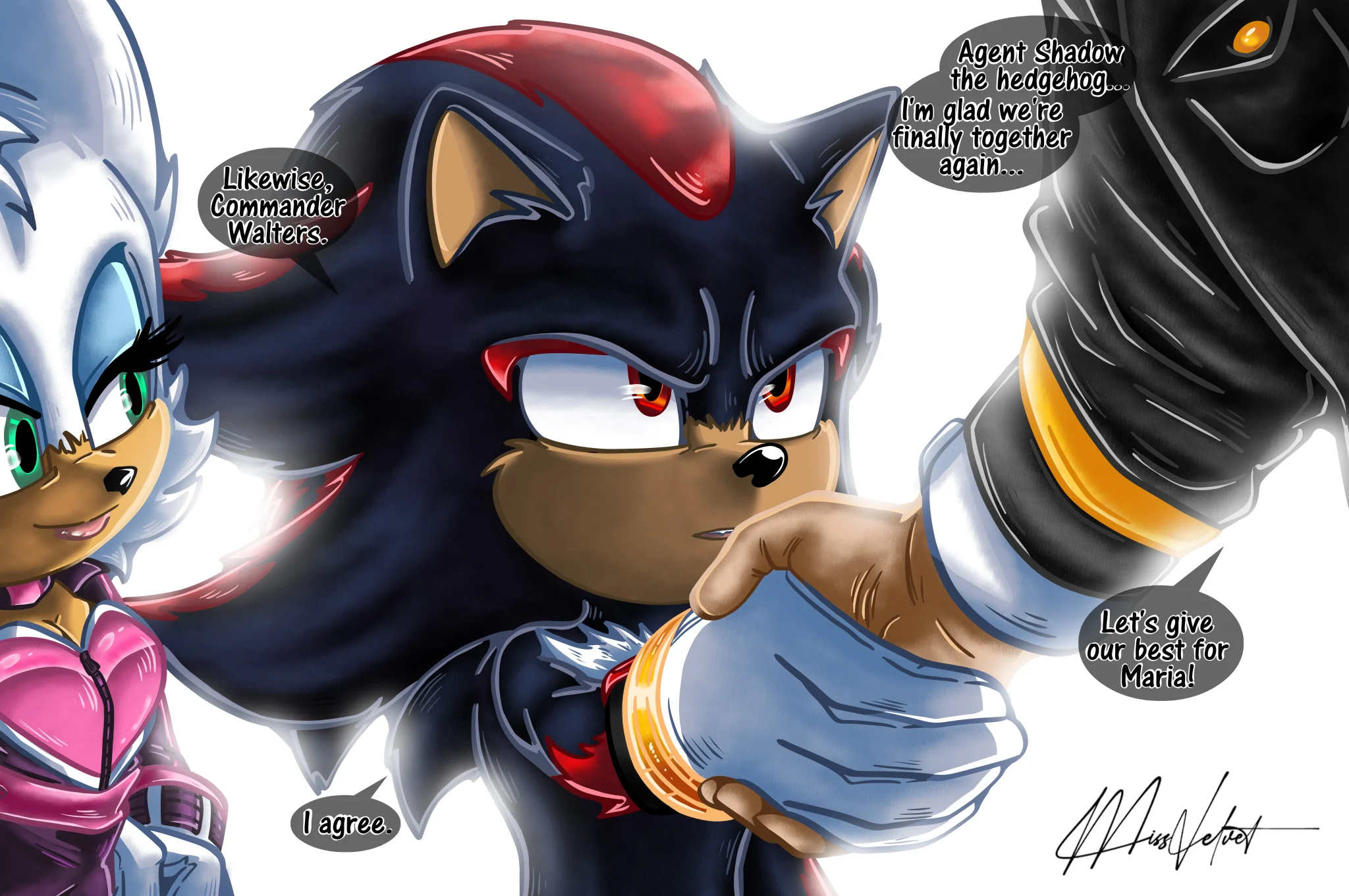 miss-velvet-chaos-portfolio-commission-sonic-34